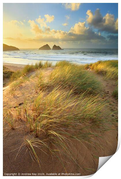 Dunes at sunset (Holywell Bay) Print by Andrew Ray
