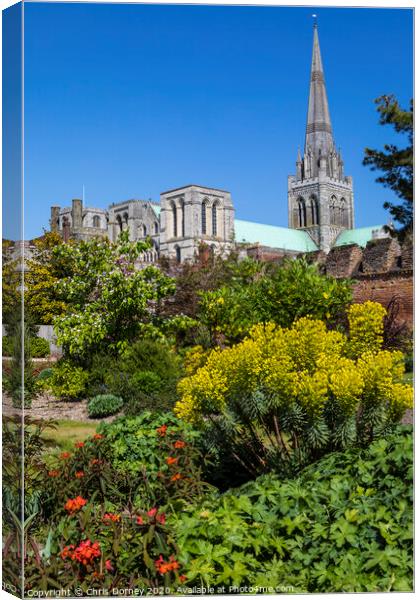 Chichester in Sussex Canvas Print by Chris Dorney