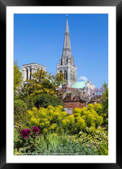 Chichester Cathedral in Sussex Framed Mounted Print by Chris Dorney