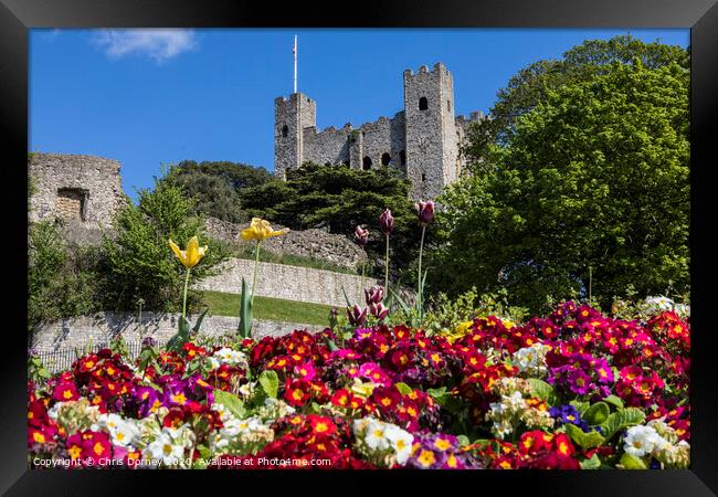 Rochester Castle in Kent, UK Framed Print by Chris Dorney