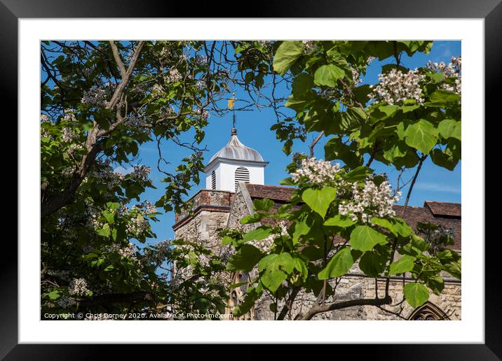 St. Nicholas Church in Rochester, UK Framed Mounted Print by Chris Dorney