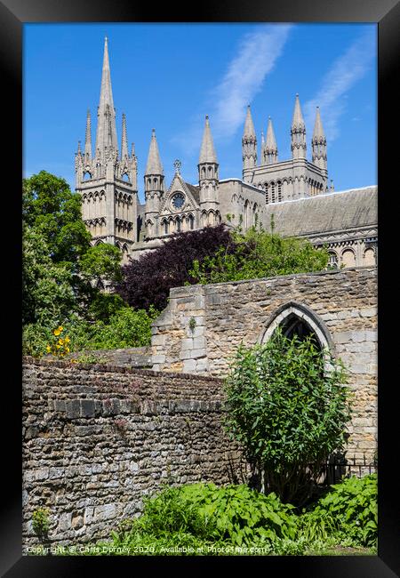 Peterborough Cathedral in the UK Framed Print by Chris Dorney