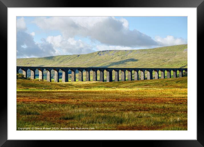 Ribblehead Viaduct Settle Carlisle line, Yorkshire Framed Mounted Print by Diana Mower