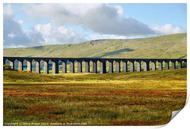 Ribblehead Viaduct Settle Carlisle line, Yorkshire Print by Diana Mower