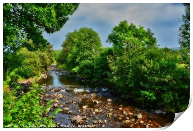 RIVER AMMAN Print by carl blake