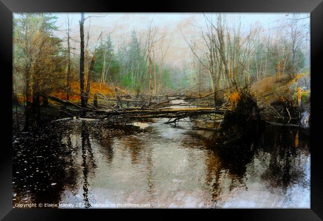 Fallen Tree Framed Print by Elaine Manley