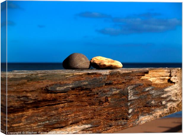 A Tale of Two Pebbles Canvas Print by Stephen Hamer