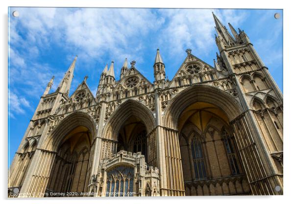 Peterborough Cathedral in the UK Acrylic by Chris Dorney
