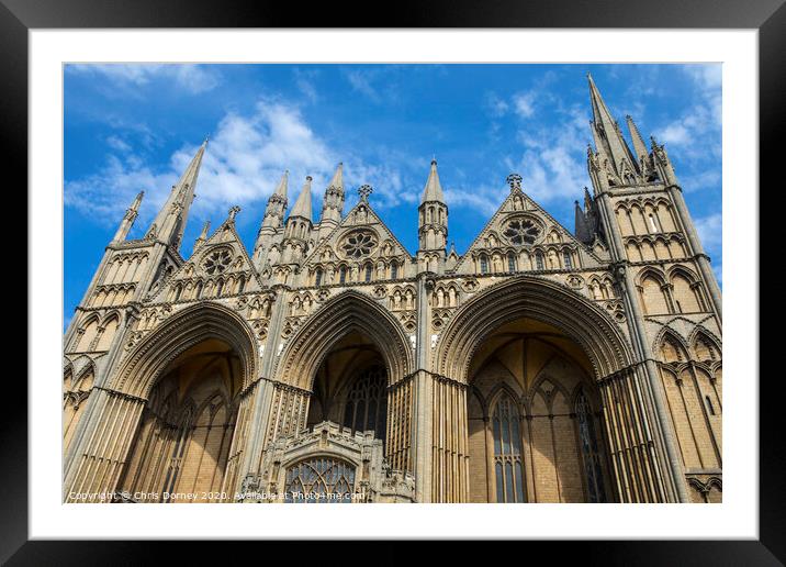 Peterborough Cathedral in the UK Framed Mounted Print by Chris Dorney