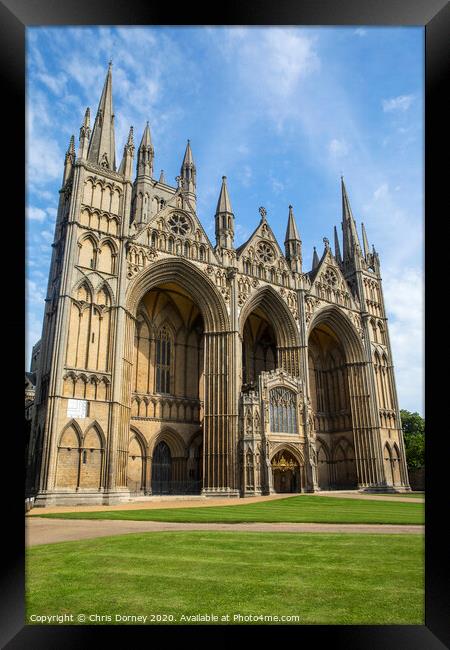 Peterborough Cathedral in the UK Framed Print by Chris Dorney