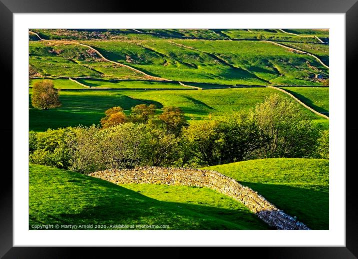 Swaledale Stone Walls Framed Mounted Print by Martyn Arnold