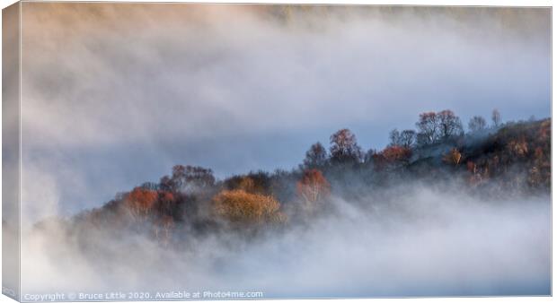 Out of the fog Canvas Print by Bruce Little