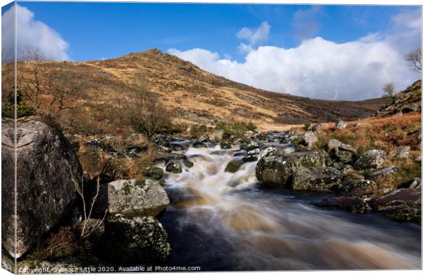 Rapids in Tavy Cleave, Dartmoor Canvas Print by Bruce Little