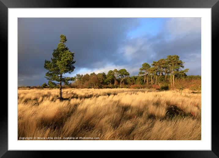 Dramatic light on Mutters Moor  Framed Mounted Print by Bruce Little
