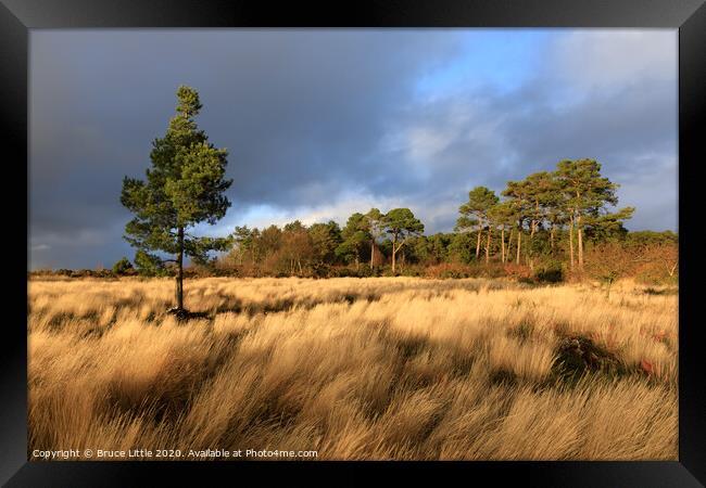 Dramatic light on Mutters Moor  Framed Print by Bruce Little