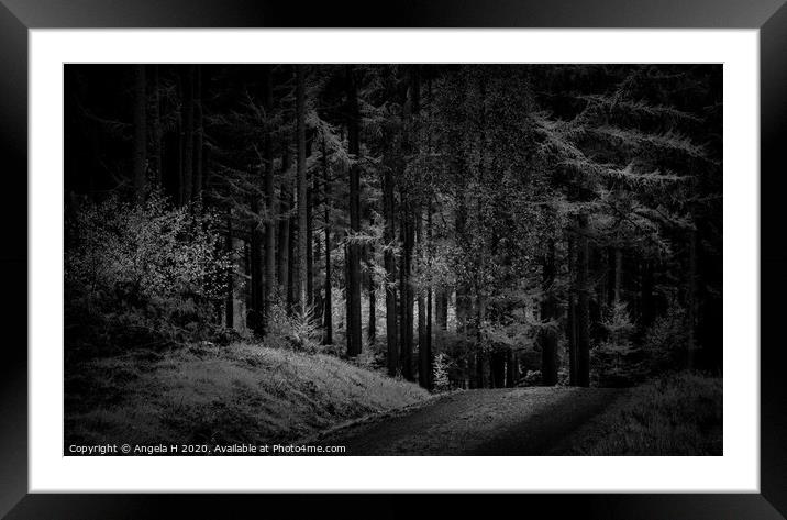 Devilla Forest Framed Mounted Print by Angela H