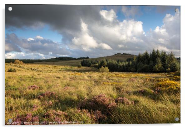 Bellever view, Dartmoor Acrylic by Bruce Little