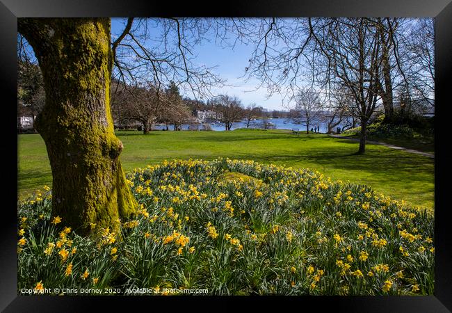 Lake Windermere at Spring Framed Print by Chris Dorney