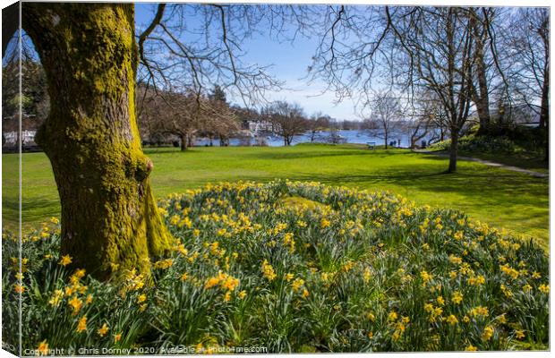 Lake Windermere in Spring Canvas Print by Chris Dorney