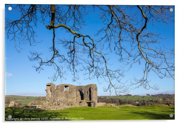 Kendal Castle in Cumbria Acrylic by Chris Dorney