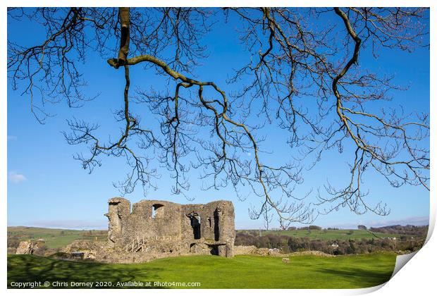 Kendal Castle in Cumbria Print by Chris Dorney