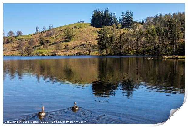 Tarn Hows in the Lake District Print by Chris Dorney