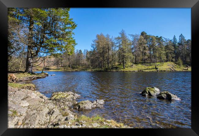 Tarn Hows in the Lake District Framed Print by Chris Dorney