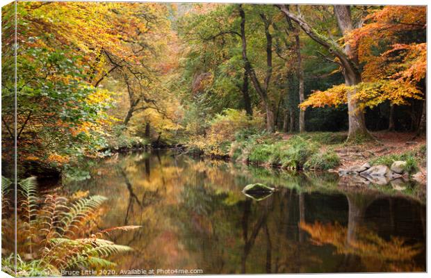 Autumnal River Teign at Fingle Bridge Canvas Print by Bruce Little