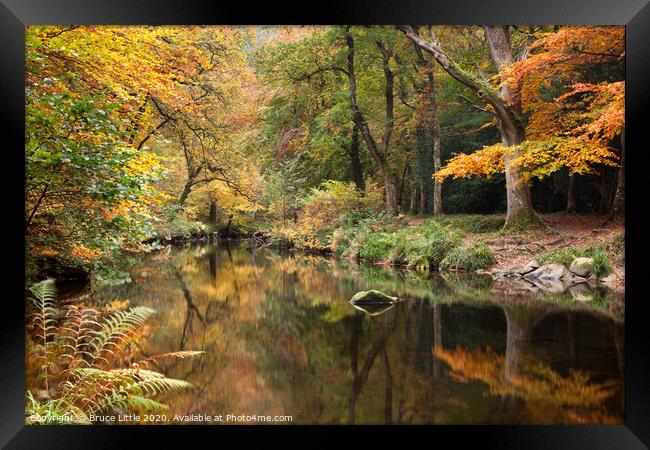 Autumnal River Teign at Fingle Bridge Framed Print by Bruce Little