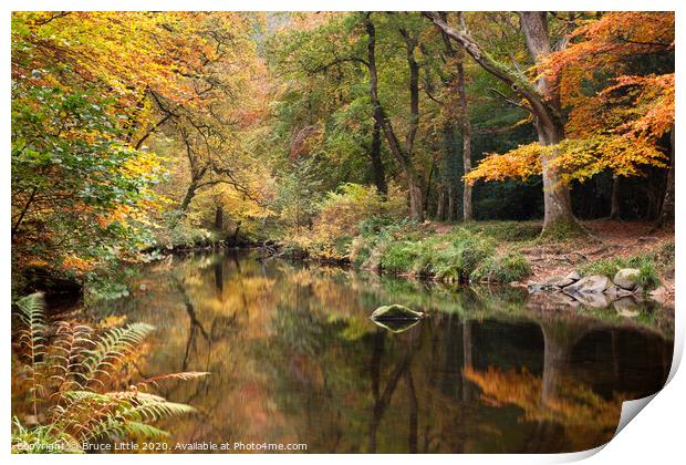 Autumnal River Teign at Fingle Bridge Print by Bruce Little