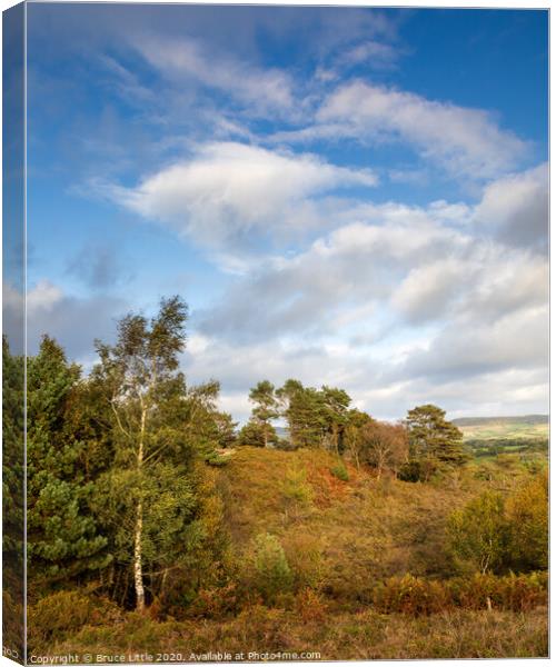 East Devon common in autumn Canvas Print by Bruce Little