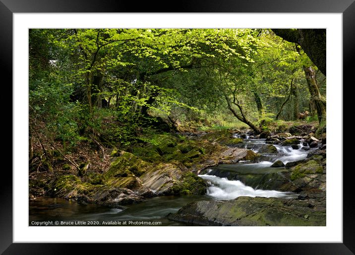 Springtime Dartmoor river Framed Mounted Print by Bruce Little