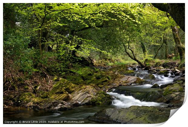 Springtime Dartmoor river Print by Bruce Little
