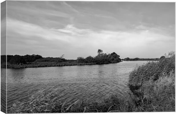 A windy and sunny day on the River Yare in RSPB St Canvas Print by Chris Yaxley