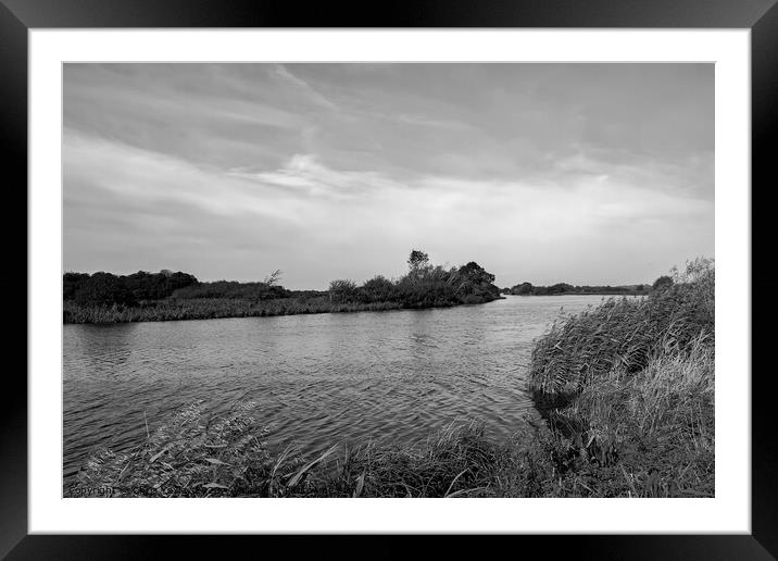 A windy and sunny day on the River Yare in RSPB St Framed Mounted Print by Chris Yaxley