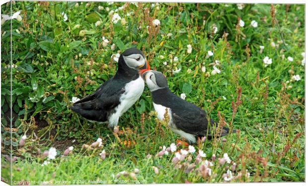 Puffins by burrow Skomer Island Canvas Print by Nick Jenkins