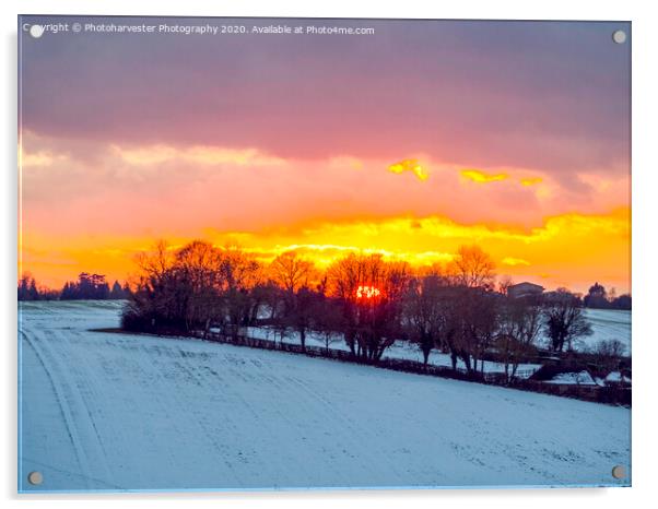 Fire and Ice; Sunset in the snow. Acrylic by Elizabeth Debenham