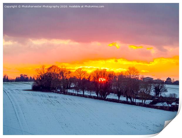 Fire and Ice; Sunset in the snow. Print by Elizabeth Debenham