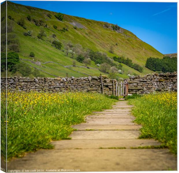 Meadow path Canvas Print by kevin cook