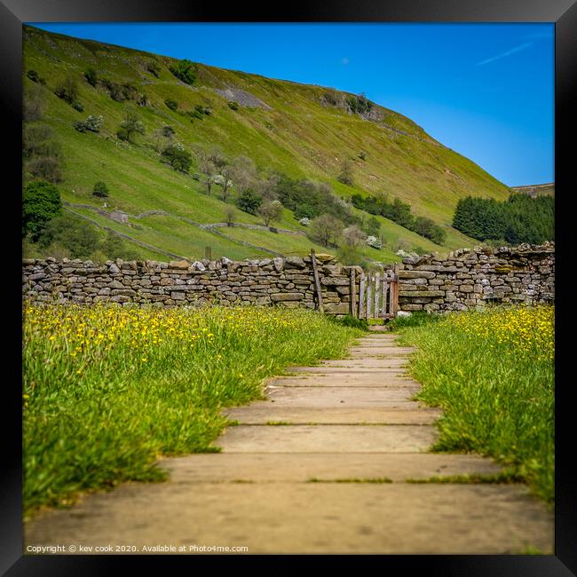 Meadow path Framed Print by kevin cook