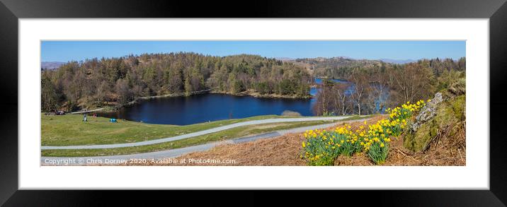 Tarn Hows at Spring in the Lake District Framed Mounted Print by Chris Dorney