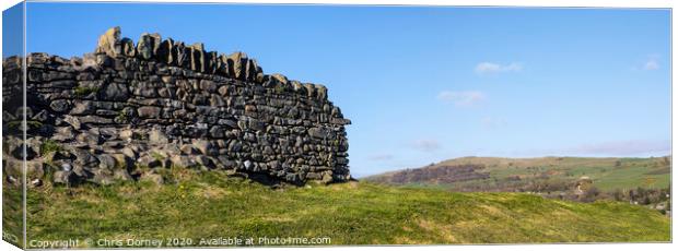 Dry Stone Wall in the Lake District Canvas Print by Chris Dorney