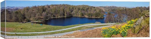 Picturesque View over Tarn Hows in the Lake District Canvas Print by Chris Dorney