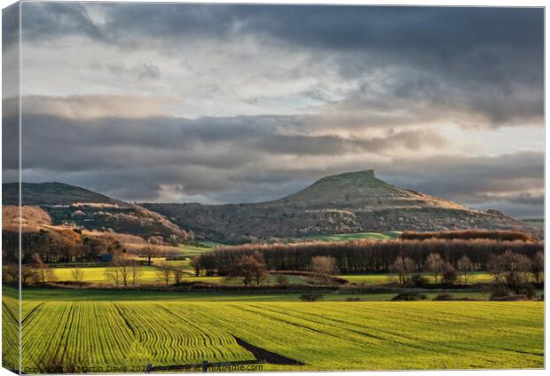 Roseberry Topping from the North Canvas Print by Martin Davis