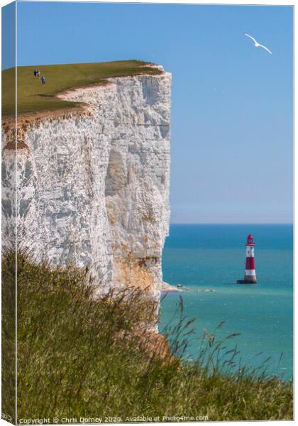 Beachy Head in East Sussex Canvas Print by Chris Dorney