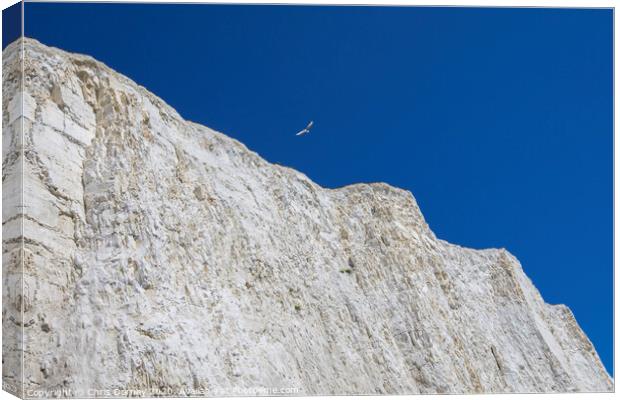 Chalk Cliffs on the Coastline in East Sussex Canvas Print by Chris Dorney