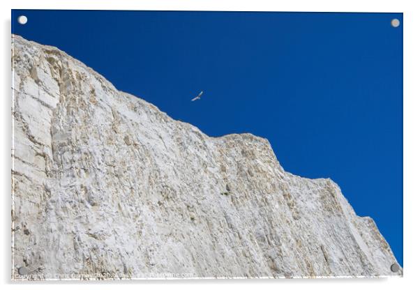 Chalk Cliffs on the Coastline in East Sussex Acrylic by Chris Dorney