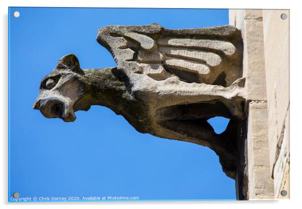 Gargoyle in York Acrylic by Chris Dorney