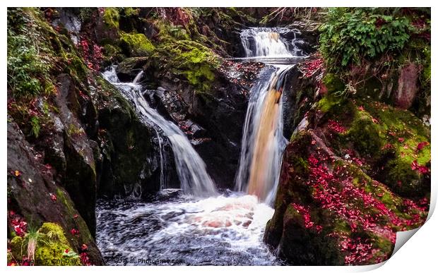 Ingleton Waterfalls Trail Print by Jim Day