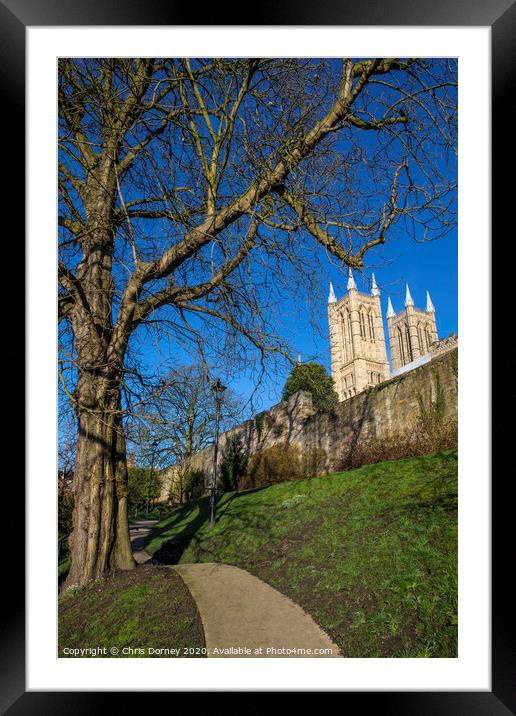 Lincoln Cathedral viewed from the Bishops Palace Framed Mounted Print by Chris Dorney